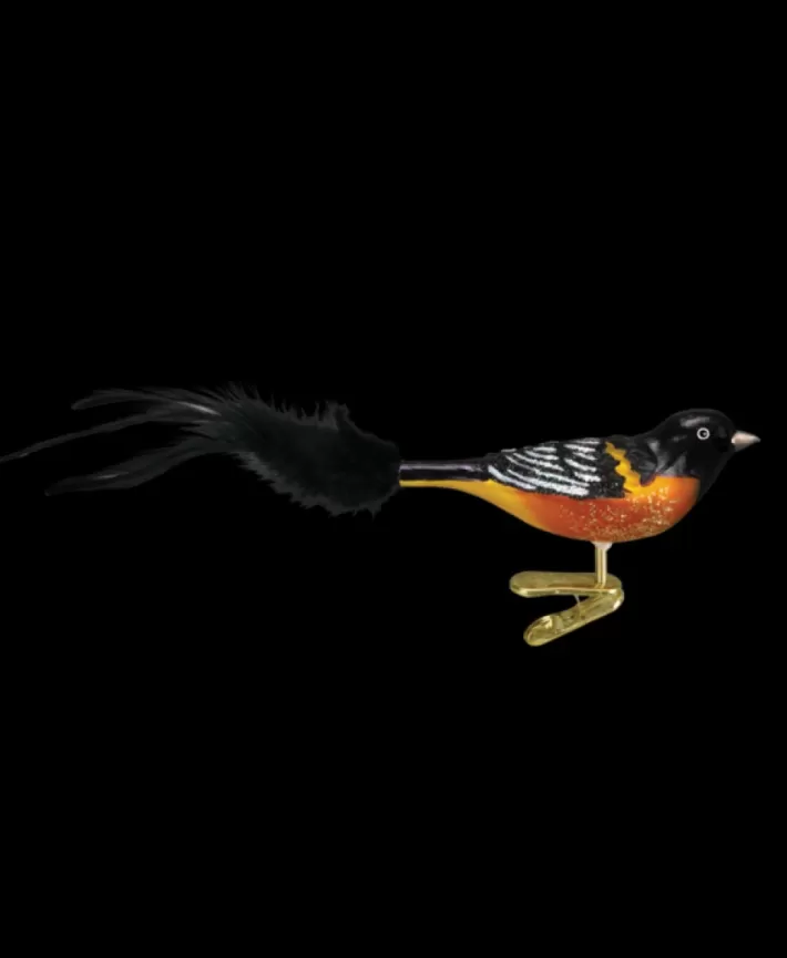 Baltimore Oriole Mouth Blown Glass Ornament | Noel Eternel Cheap