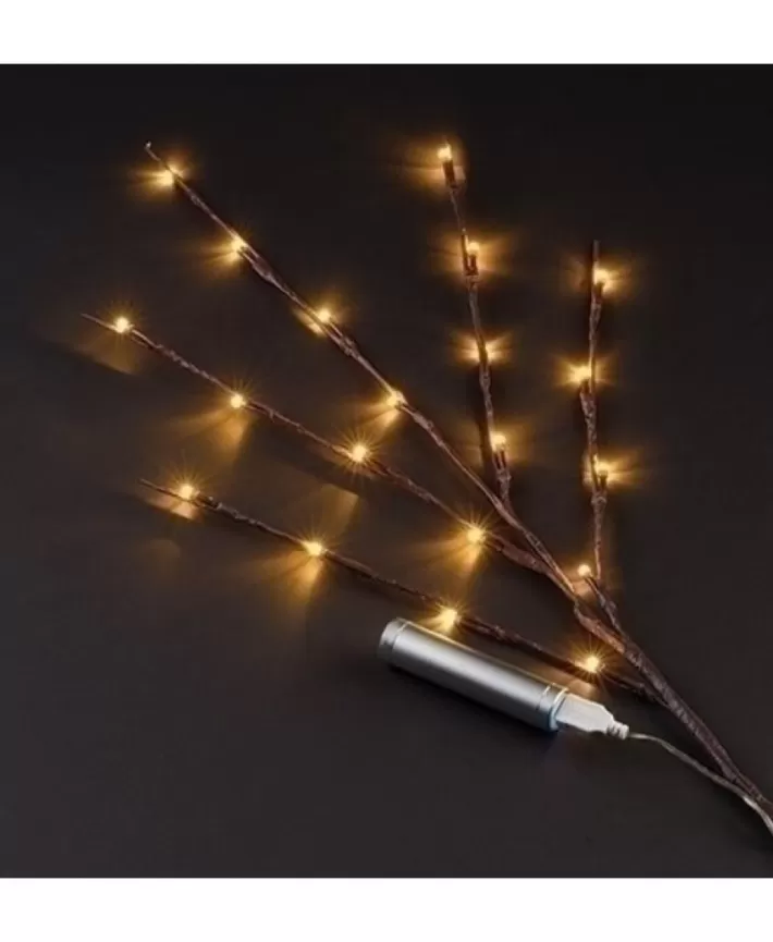 Branche 20 Lumieres Blanc Chaud Del 30" Usb | Noel Eternel Online