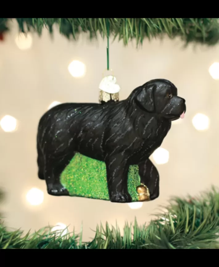 Newfoundland Dog, Mouth Blown Glass Ornament | Noel Eternel Hot