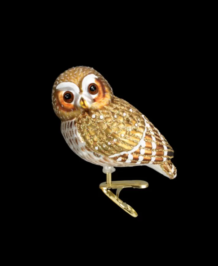 Pygmy Owl Mouth Blown Glass Ornament | Noel Eternel Best