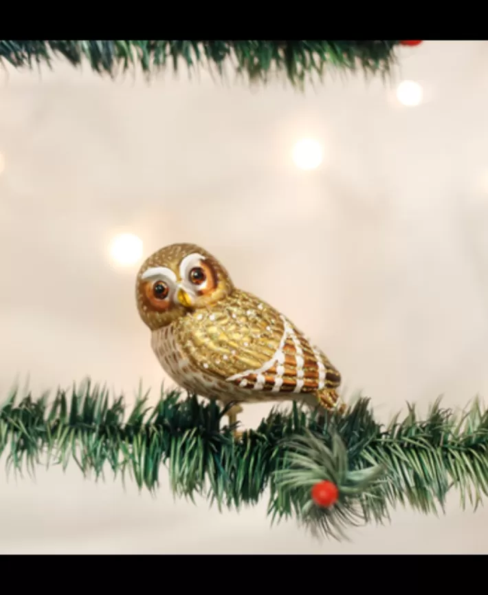 Pygmy Owl Mouth Blown Glass Ornament | Noel Eternel Best