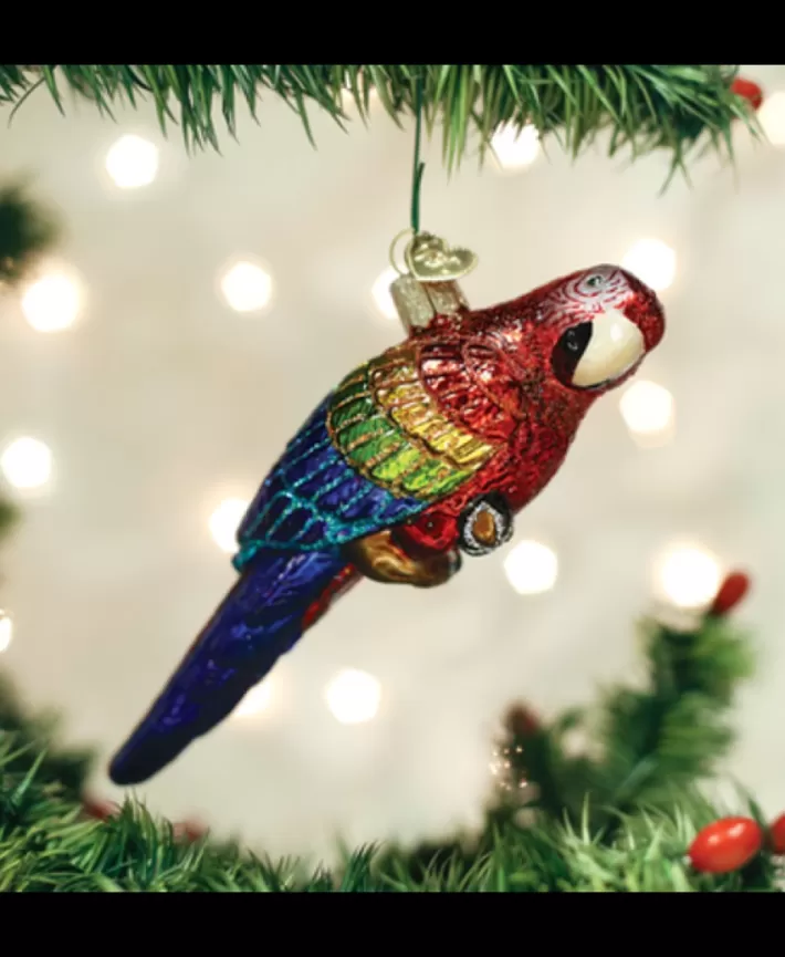 Tropical Parrot, Mouth Blown Glass Ornament | Noel Eternel Hot