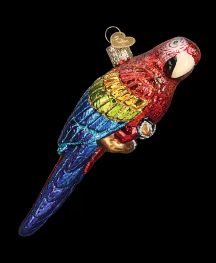 Tropical Parrot, Mouth Blown Glass Ornament | Noel Eternel Hot