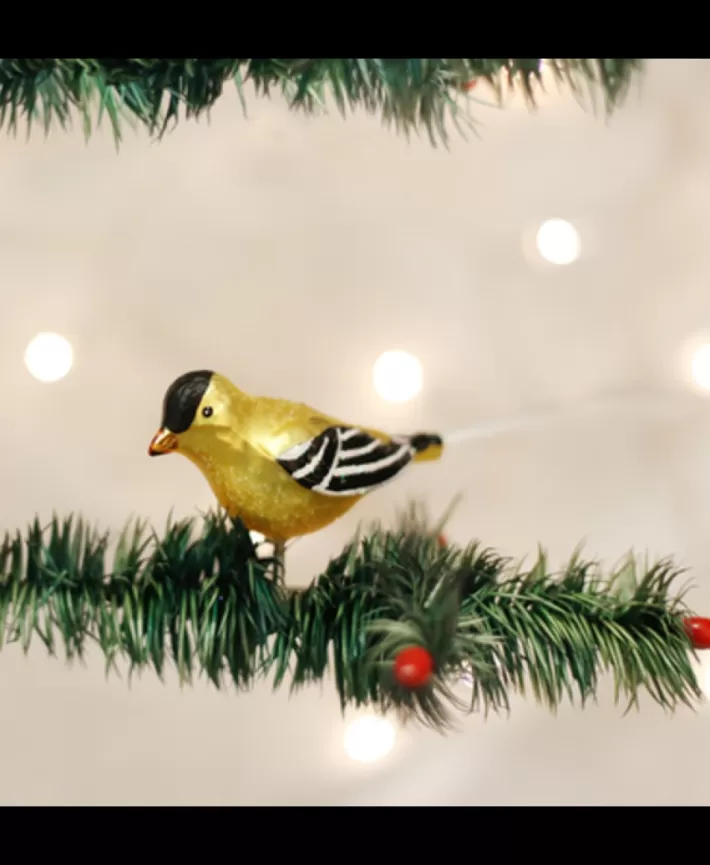 Western Goldfinch, Mouth Blown Glass Ornament | Noel Eternel New